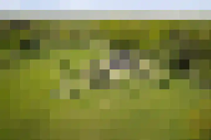 Nijlandweg 2 A Vorden thumbnail 56