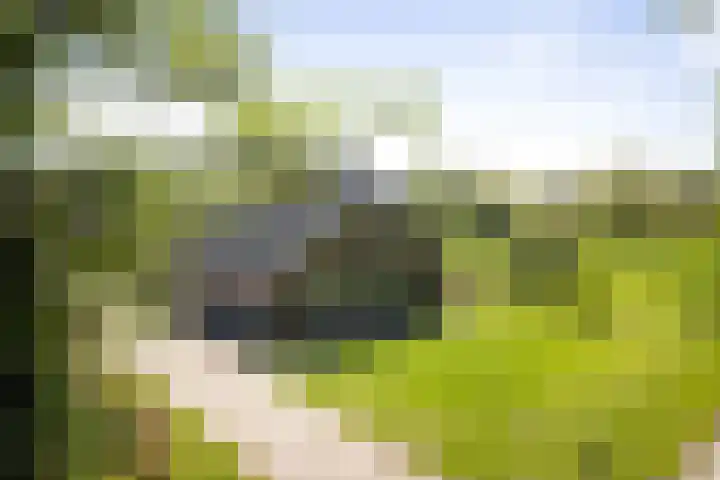 Nijlandweg 2 A Vorden thumbnail 57