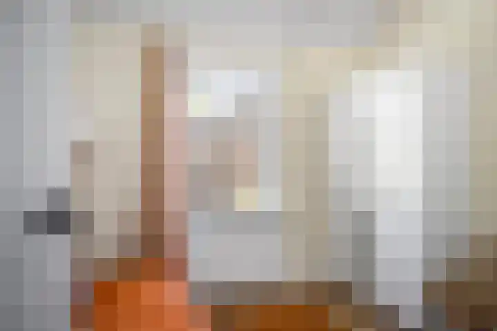 Nijlandweg 2 A Vorden thumbnail 60