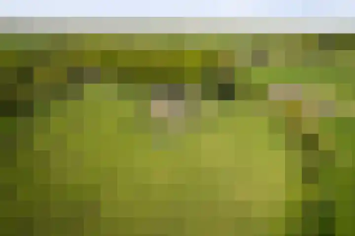 Nijlandweg 2 A Vorden thumbnail 65