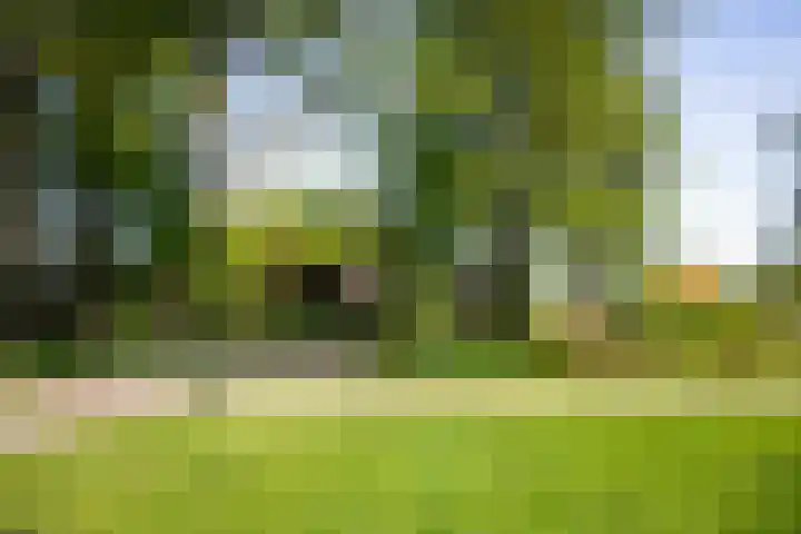 Nijlandweg 2 A Vorden thumbnail 66