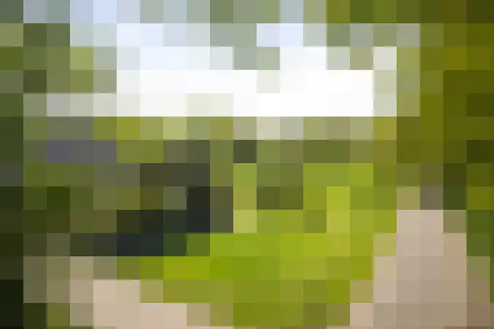 Nijlandweg 2 A Vorden thumbnail 67