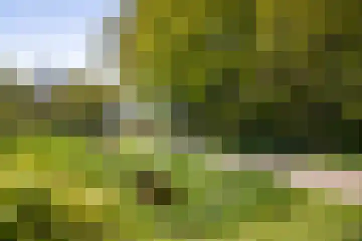 Nijlandweg 2 A Vorden thumbnail 68