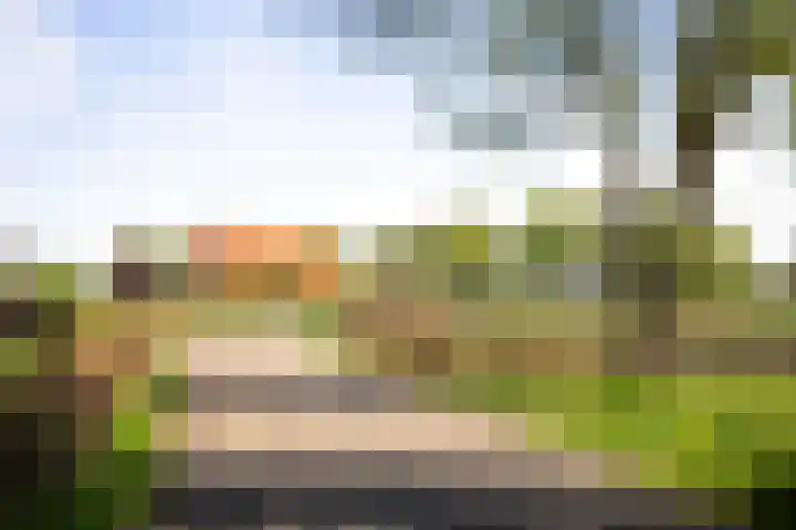 Nijlandweg 2 A Vorden thumbnail 69