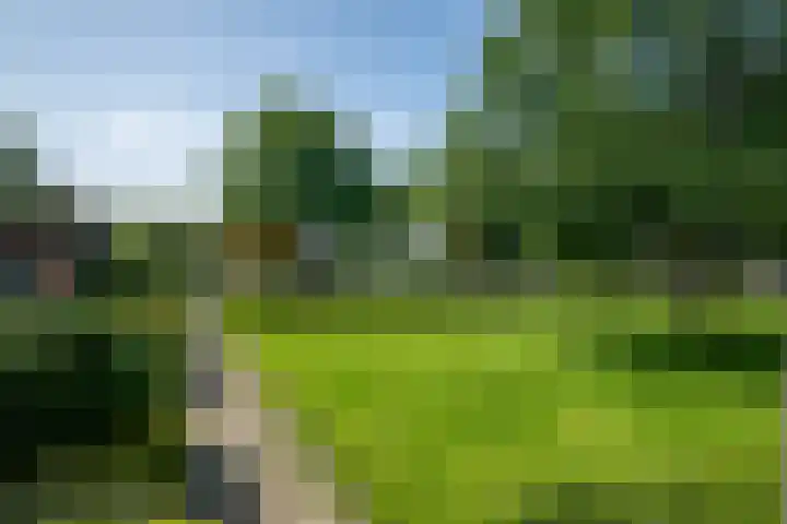 Nijlânsdyk 102 Leeuwarden foto 2