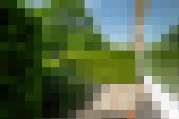 Nijlânsdyk 102 Leeuwarden thumbnail 32