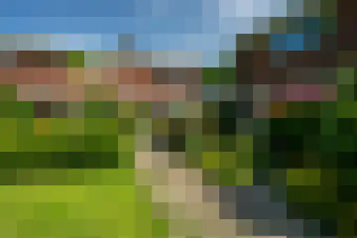 Nijlânsdyk 102 Leeuwarden thumbnail 33