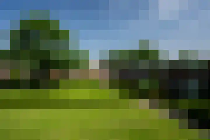 Nijlânsdyk 102 Leeuwarden thumbnail 35