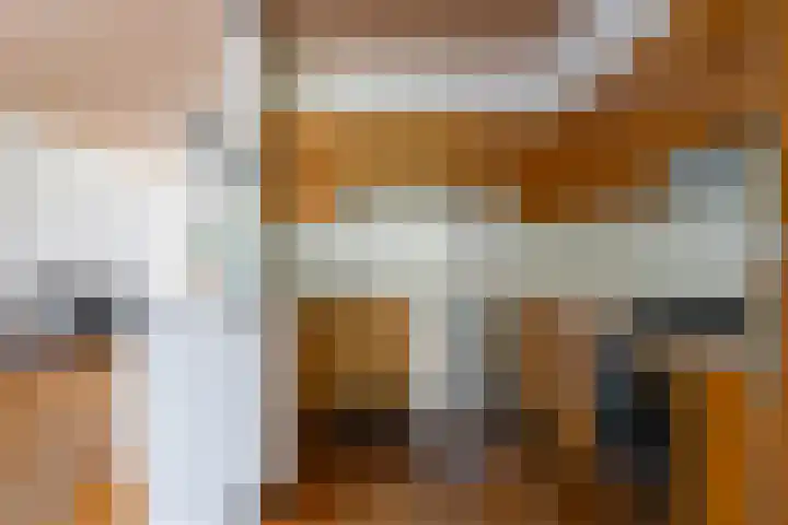 Nijlânsdyk 102 Leeuwarden thumbnail 7