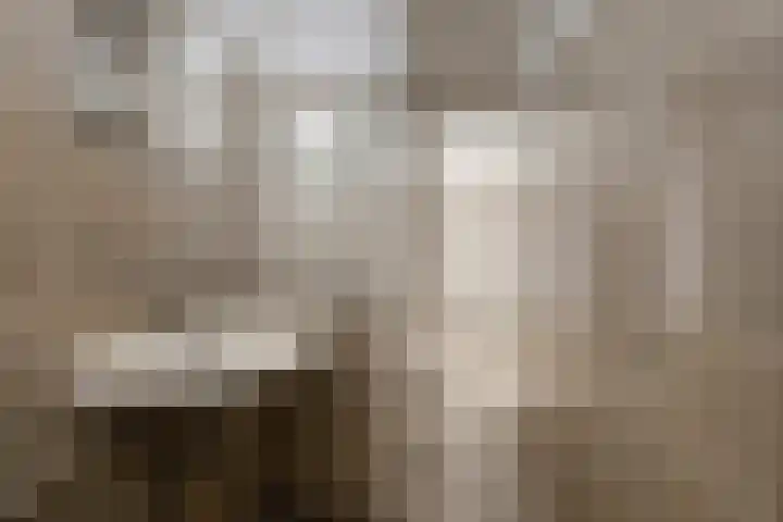 Nijlânsdyk 107 d Leeuwarden thumbnail 14