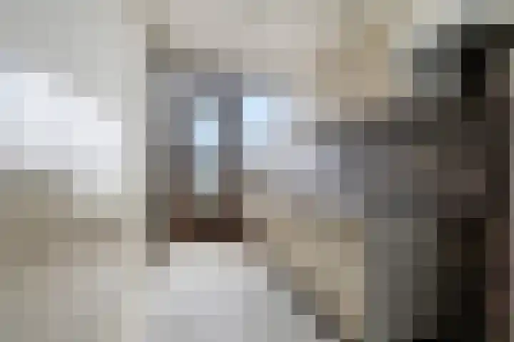 Nijlânsdyk 107 d Leeuwarden thumbnail 5