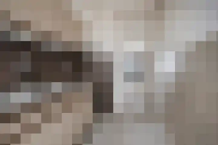 Nijlânsdyk 107 d Leeuwarden thumbnail 7