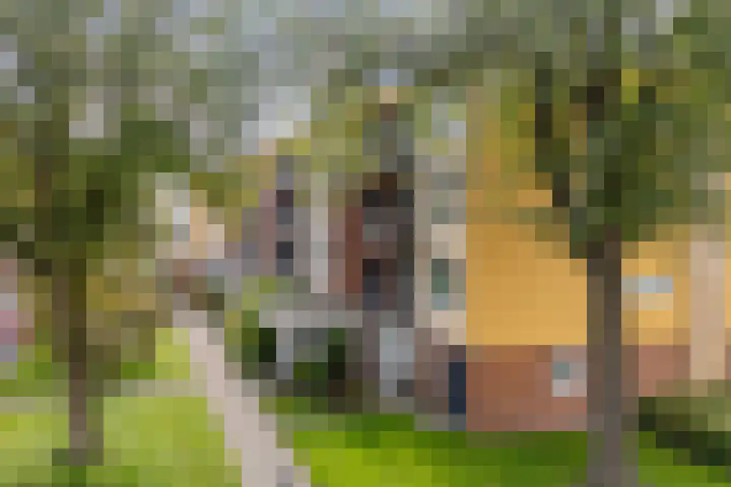 Nijlânsdyk 111 b Leeuwarden thumbnail 31