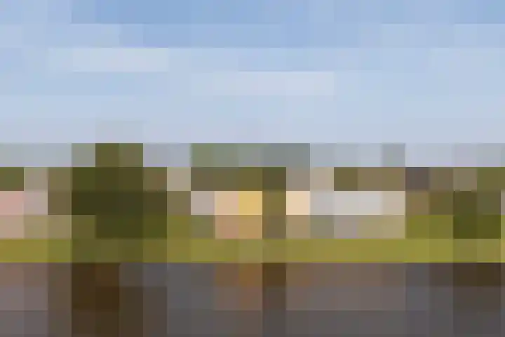 Nijlânsdyk 111 d Leeuwarden thumbnail 16