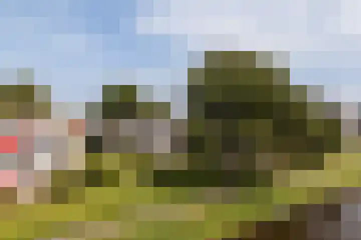 Nijlânsdyk 111 d Leeuwarden thumbnail 17