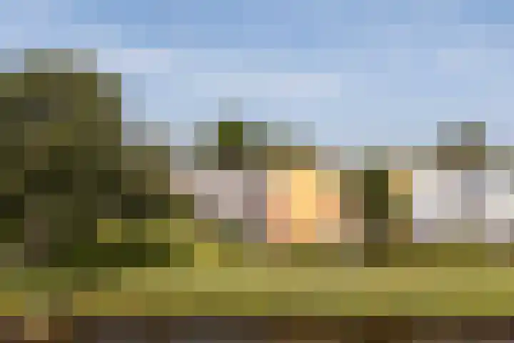 Nijlânsdyk 111 d Leeuwarden thumbnail 18