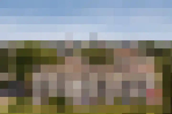 Nijlânsdyk 111 d Leeuwarden thumbnail 19