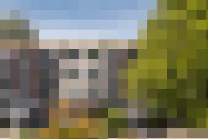 Nijlânsdyk 111 d Leeuwarden thumbnail 21