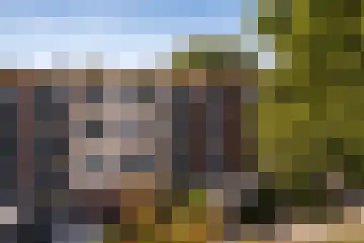 Nijlânsdyk 111 d Leeuwarden thumbnail 22