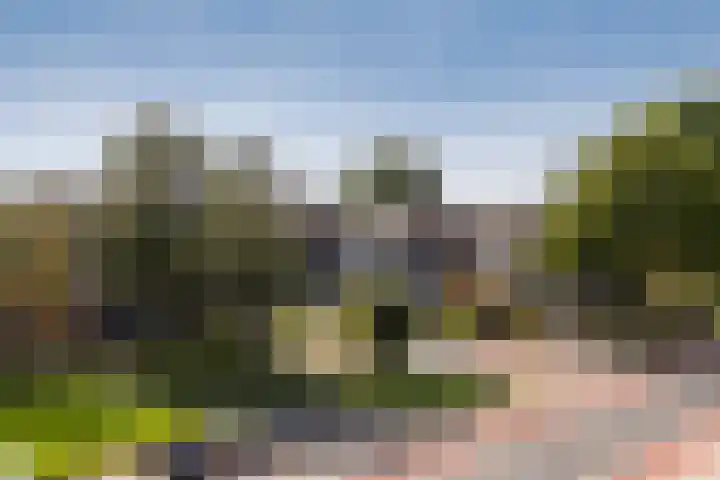 Nijlânsdyk 111 d Leeuwarden thumbnail 24