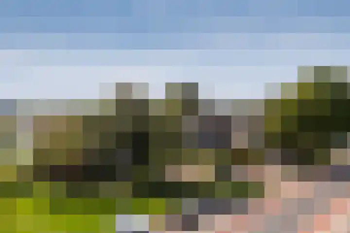 Nijlânsdyk 111 d Leeuwarden thumbnail 25