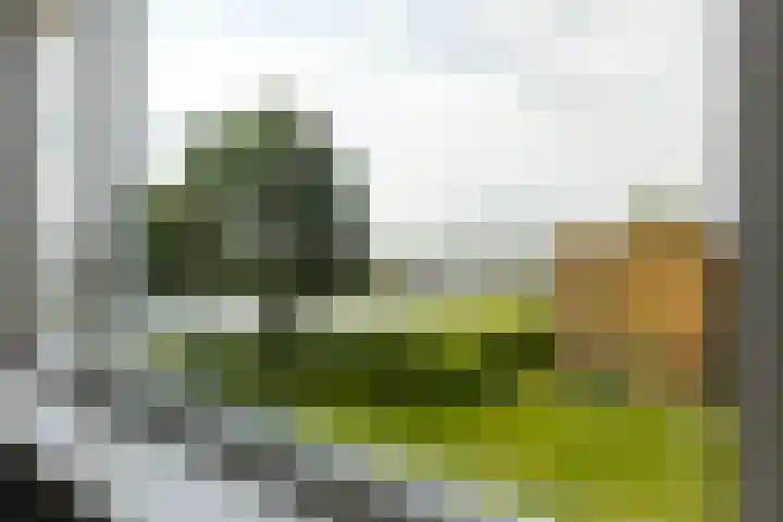Nijlânsdyk 111 d Leeuwarden thumbnail 29