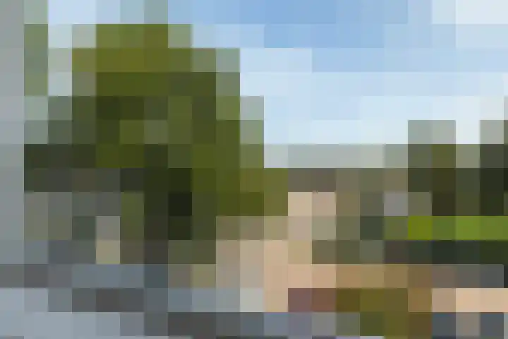 Nijlânsdyk 111 d Leeuwarden thumbnail 39