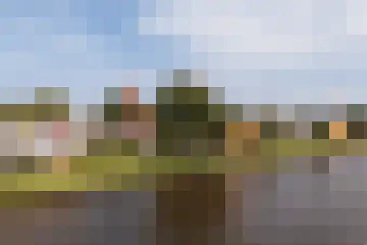 Nijlânsdyk 111 d Leeuwarden thumbnail 49