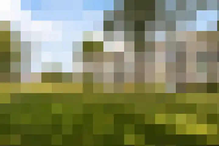 Nijlânsdyk 111 d Leeuwarden thumbnail 5