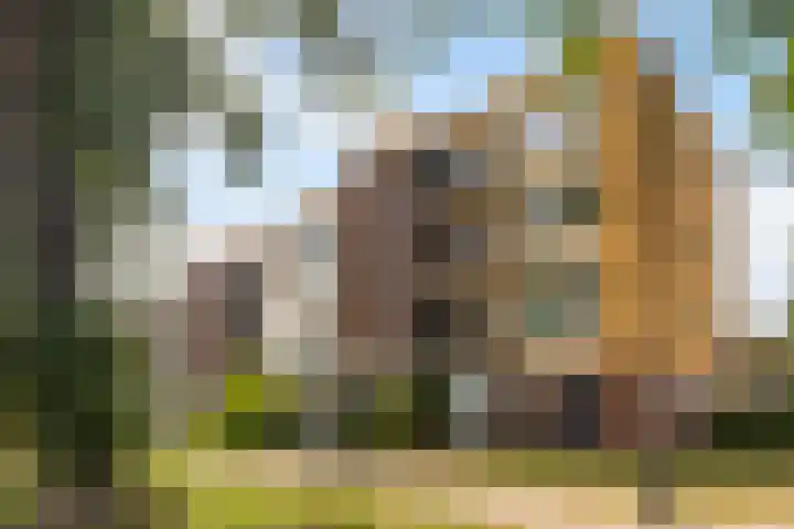 Nijlânsdyk 111 d Leeuwarden thumbnail 6