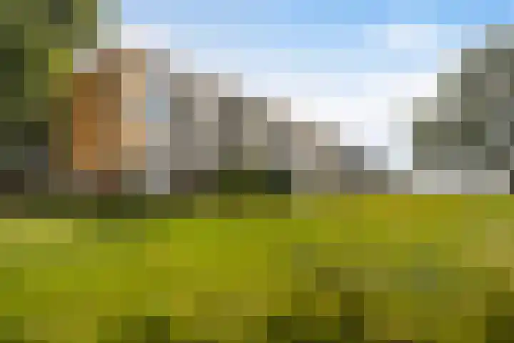 Nijlânsdyk 111 d Leeuwarden thumbnail 9
