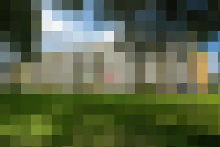 Nijlânsdyk 131 c Leeuwarden thumbnail 34