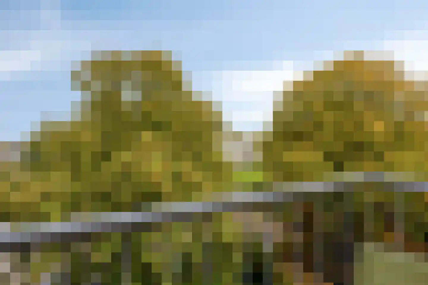 Nijlânsdyk 131 d Leeuwarden thumbnail 17