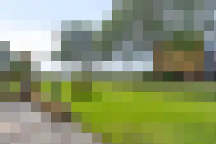 Nijlânsdyk 131 Leeuwarden thumbnail 20