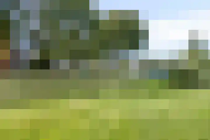 Nijlânsdyk 131 Leeuwarden thumbnail 21