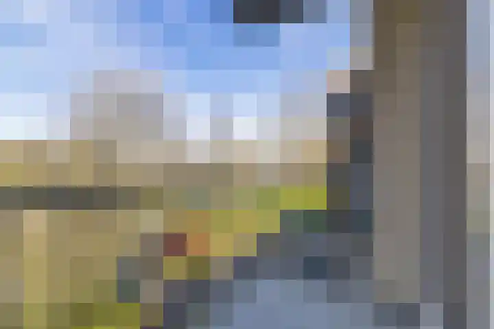 Nijlânsdyk 139 c Leeuwarden thumbnail 11