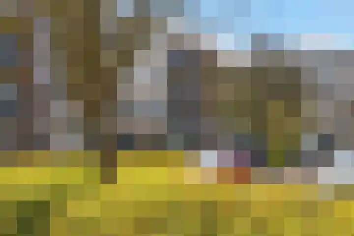 Nijlânsdyk 139 c Leeuwarden thumbnail 19