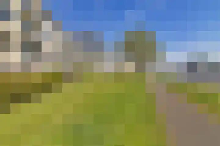 Nijlânsdyk 139 d Leeuwarden thumbnail 28