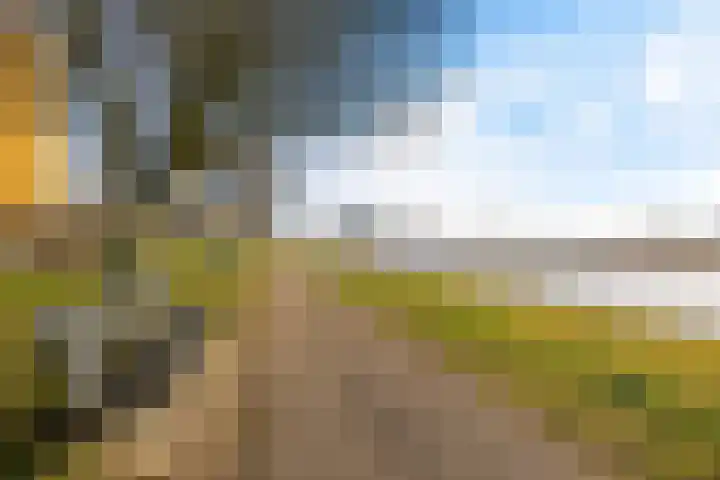 Nijlânsdyk 139 d Leeuwarden thumbnail 4