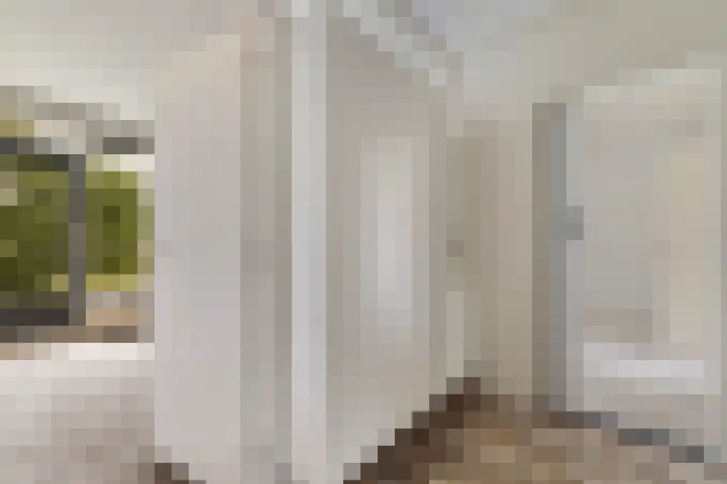 Nijlânsdyk 145 d Leeuwarden thumbnail 9