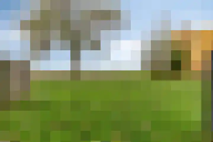 Nijlânsdyk 147 Leeuwarden thumbnail 13