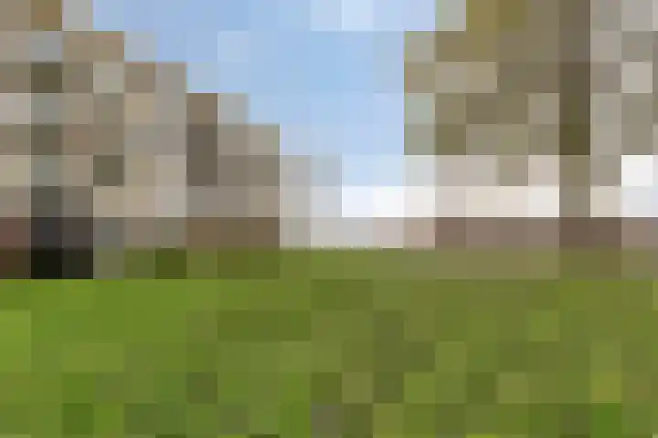 Nijlânsdyk 147 Leeuwarden thumbnail 15