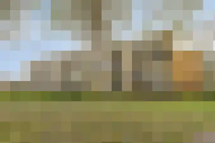 Nijlânsdyk 147 Leeuwarden thumbnail 16