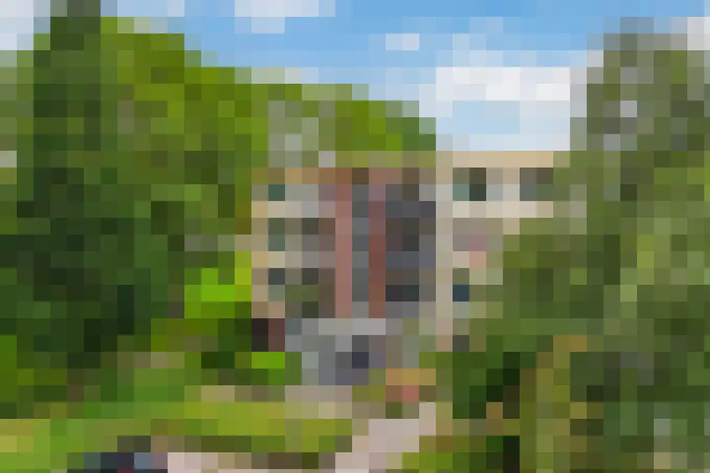 Nijlânsdyk 175 c Leeuwarden thumbnail 6