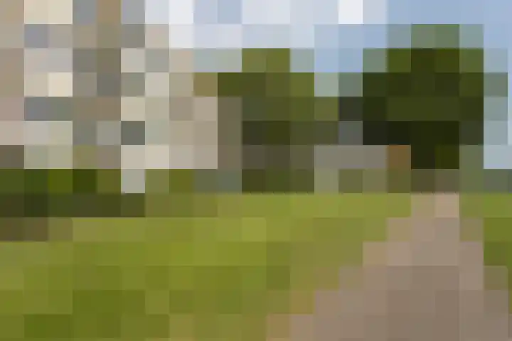 Nijlânsdyk 179 b Leeuwarden thumbnail 37