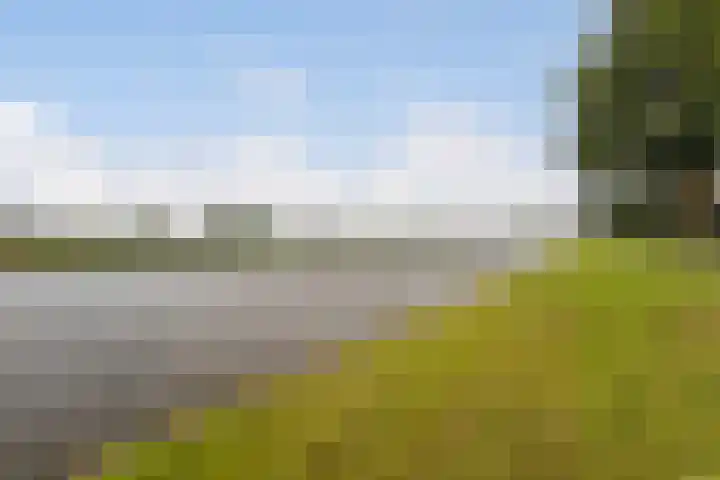 Nijlânsdyk 179 b Leeuwarden thumbnail 38