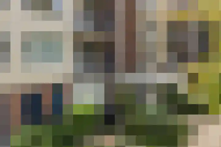 Nijlânsdyk 179 b Leeuwarden thumbnail 46