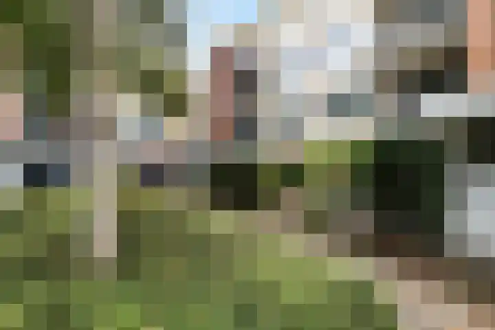 Nijlânsdyk 185 c Leeuwarden thumbnail 4