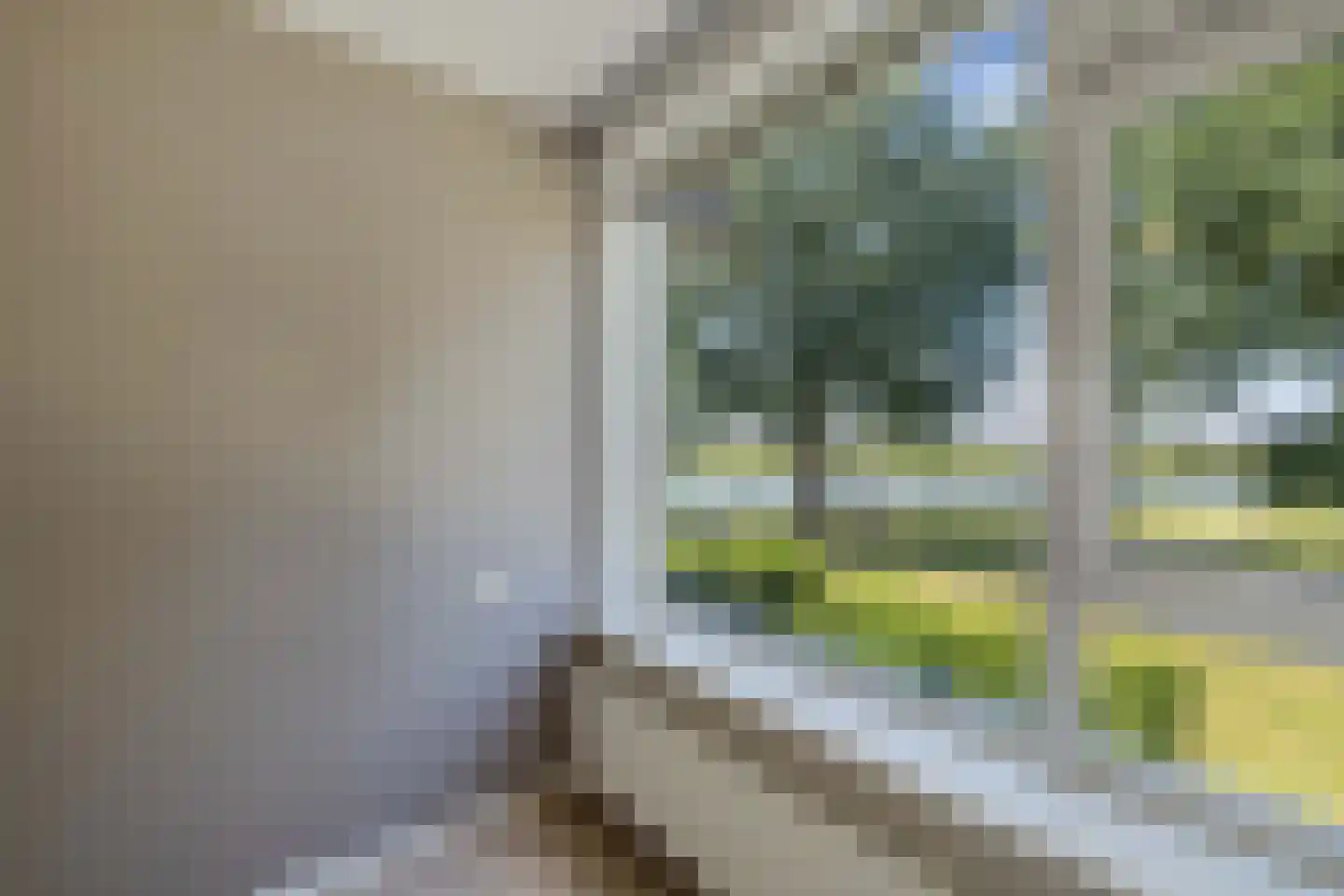 Nijlânsdyk 189 b Leeuwarden thumbnail 23