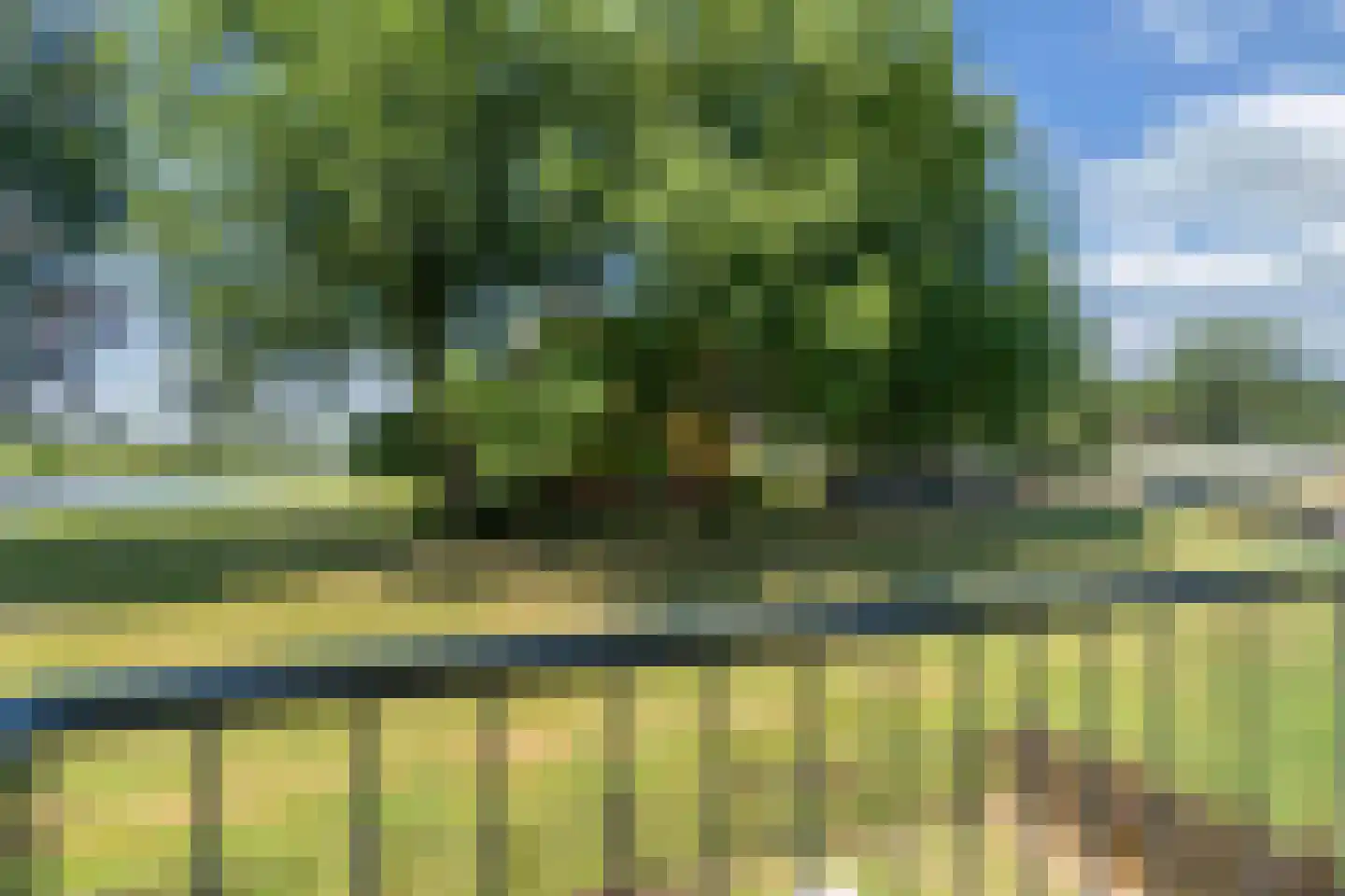 Nijlânsdyk 189 b Leeuwarden thumbnail 26